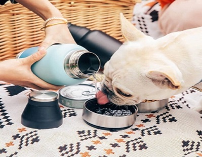 Garrafa de água Everich Dog: priorizando a saúde e a felicidade dos animais